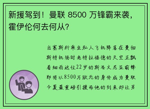 新援驾到！曼联 8500 万锋霸来袭，霍伊伦何去何从？